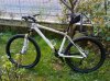07042010033.jpg