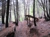 IMG_0237.jpg