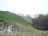 DSC04917.jpg