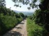 DSCF0890.jpg