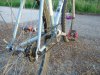 P1050826ok.jpg