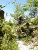 DSCN2499.jpg