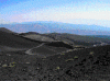 P9030042lowres.gif