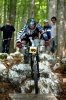 dh melette 2 040.jpg
