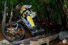 dh melette 2 108.jpg