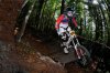 dh melette 2 120.jpg