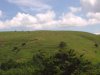 18062010_009.jpg