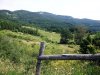 DSCF1239.jpg