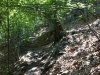 IMG00017-20100630-1445.jpg