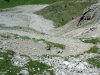 DSCN5718.jpg
