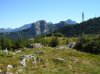 Immagine 010.jpg