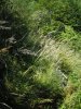 DSCN2937.JPG