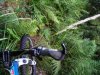 DSCN2939.JPG