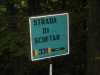 DSCN2956.jpg