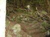 DSCN2963.jpg