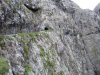 DSC01252.jpg