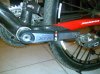 20082010740.jpg