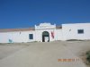 asinara 096.jpg
