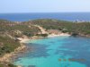 asinara 100.jpg