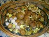 26092010084.jpg