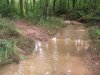 DSCF2794.jpg