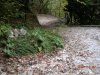 DSCN1123.jpg