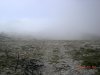 DSCN1126.jpg