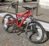 Stumpy Elite 05B.jpg