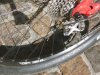 Stumpy Elite 03B.jpg
