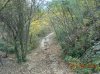 Uscita del 7.11.2010 003.jpg