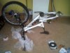IMG00140-20101113-1450.jpg