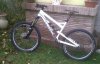 IMG00141-20101113-1520.jpg