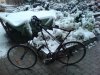 DSC00569.jpg