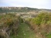 DSCN4365.jpg