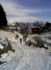 20101127_Pialeral_foto3.jpg