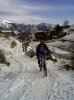 20101127_Pialeral_foto4.jpg