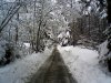20101205_foto07_Val_di_Ledro_verso_Passo_Nota.jpg