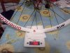 IMG011.jpg