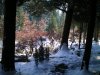 100_0358.jpg