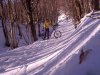 CAM_1747.jpg