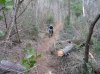 dh capanne e cicalino 033.jpg