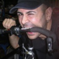 gattonero