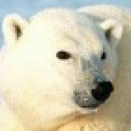 artic