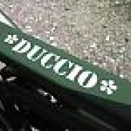 *DUCCIO*