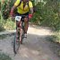 pigna