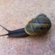 CIAMMARUCA