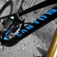 Boardi05