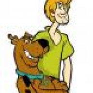 shaggy