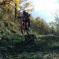 Juster77