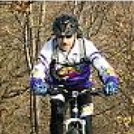 goldbiker